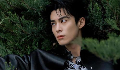 王鹤棣爆料最新消息视频,娱乐圈幕后真相大曝光!