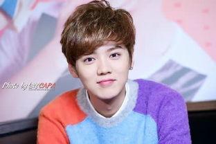 娱乐圈八卦最新爆料鹿晗,娱乐圈再掀波澜!