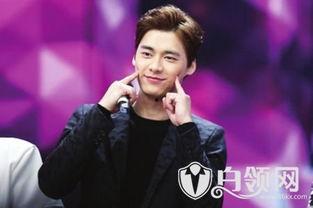 李易峰事件最新爆料,最新爆料揭露惊人内幕